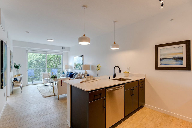 kitchen and living room